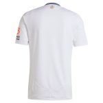 aston villa adidas away shirt 2024-25 with custom printing Collection | Official Aston Villa Shirts
