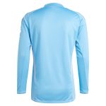 aston villa adidas goalkeeper shirt 2024-25 – long sleeve – 201964005 with custom printing Collection | Official Aston Villa Shirts
