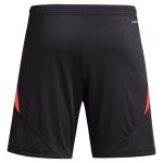 aston villa adidas goalkeeper shorts 2024-25 – 201964002 with custom printing Collection | Official Aston Villa Shirts