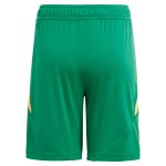aston villa adidas goalkeeper shorts 2024-25 – 201964010 with custom printing Collection | Official Aston Villa Shirts