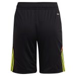 aston villa adidas goalkeeper shorts 2024-25 – kids – 201964004 with custom printing Collection | Official Aston Villa Shirts