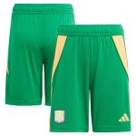 aston villa adidas goalkeeper shorts 2024-25 – kids – 201964012 with custom printing Collection | Official Aston Villa Shirts