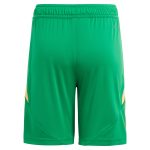 aston villa adidas goalkeeper shorts 2024-25 – kids – 201964012 Collection | Official Aston Villa Shirts