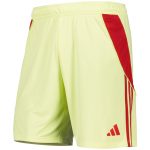 aston villa adidas goalkeeper shorts 2025-26 – kids with custom printing Collection | Official Aston Villa Shirts
