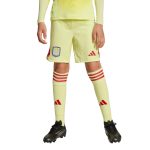 aston villa adidas goalkeeper shorts 2025-26 – kids with custom printing Collection | Official Aston Villa Shirts