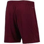 aston villa adidas home change shorts 2024-25 with custom printing Collection | Official Aston Villa Shirts