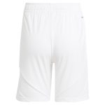 aston villa adidas home shorts 2024-25 with custom printing Collection | Official Aston Villa Shirts