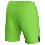 aston villa castore away goalkeeper shorts 2023-24 – kids – 13385917 with custom printing Collection | Official Aston Villa Shirts